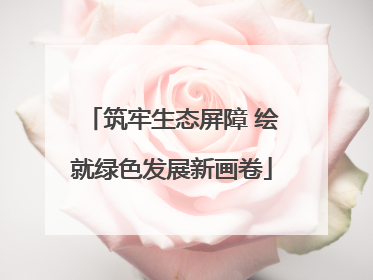 筑牢生态屏障 绘就绿色发展新画卷