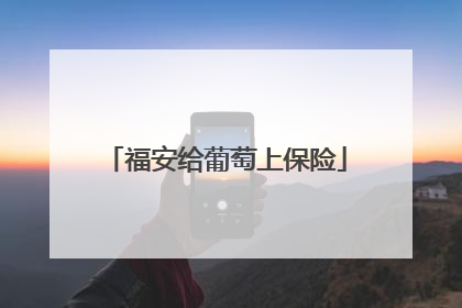 福安给葡萄上保险