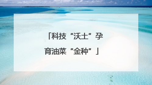 科技“沃土”孕育油菜“金种”