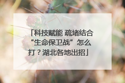 科技赋能 疏堵结合 “生命保卫战”怎么打？湖北各地出招
