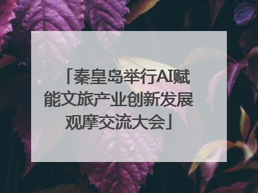 秦皇岛举行AI赋能文旅产业创新发展观摩交流大会