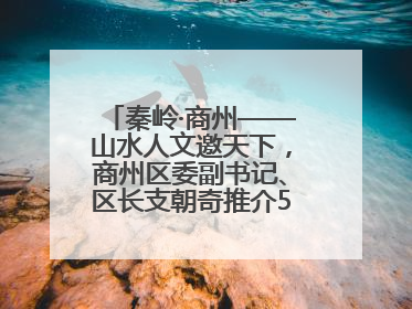 秦岭·商州——山水人文邀天下，商州区委副书记、区长支朝奇推介5个重点招商项目