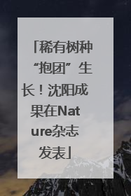 稀有树种“抱团”生长！沈阳成果在Nature杂志发表