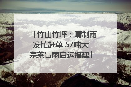 竹山竹坪：晴制雨发忙赶单 57吨大宗茶冒雨启运福建