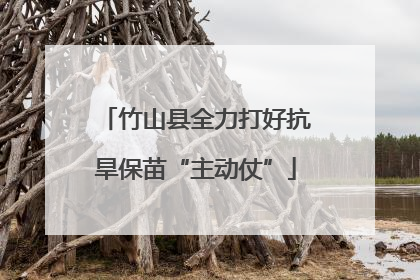 竹山县全力打好抗旱保苗“主动仗”