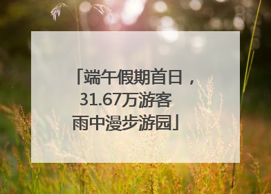 端午假期首日，31.67万游客雨中漫步游园