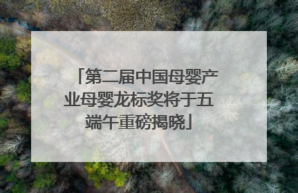 第二届中国母婴产业母婴龙标奖将于五端午重磅揭晓