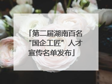 第二届湖南百名“国企工匠”人才宣传名单发布