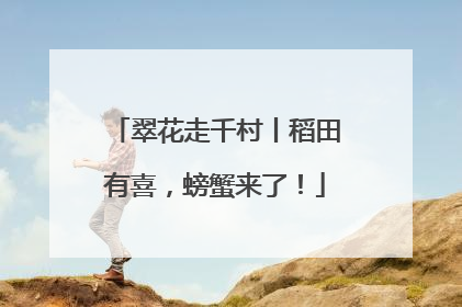 翠花走千村丨稻田有喜，螃蟹来了！