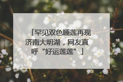 罕见双色睡莲再现济南大明湖，网友直呼“好运莲莲”