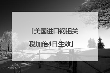 美国进口钢铝关税加倍4日生效