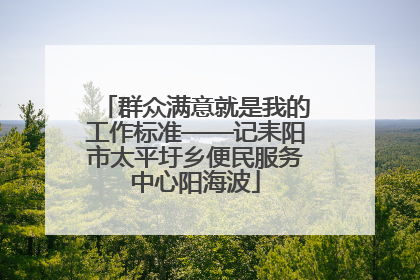群众满意就是我的工作标准——记耒阳市太平圩乡便民服务中心阳海波