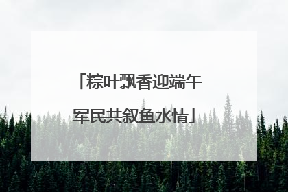 粽叶飘香迎端午 军民共叙鱼水情