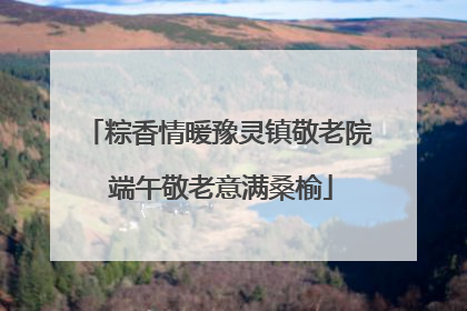 粽香情暖豫灵镇敬老院 端午敬老意满桑榆