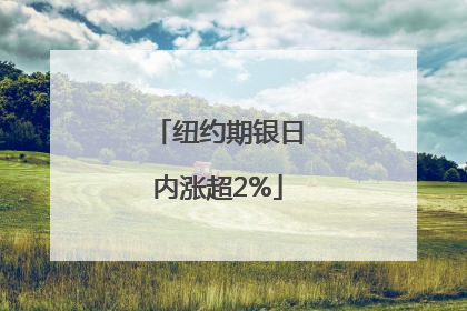 纽约期银日内涨超2%