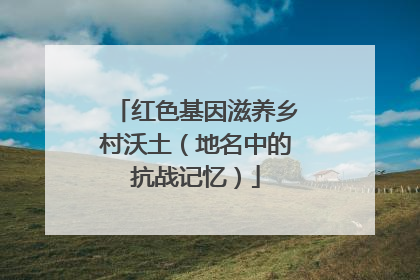 红色基因滋养乡村沃土（地名中的抗战记忆）