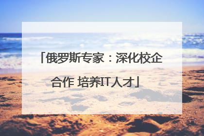 俄罗斯专家：深化校企合作 培养IT人才
