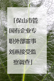 保山市管国有企业专职外部董事刘燕接受监察调查