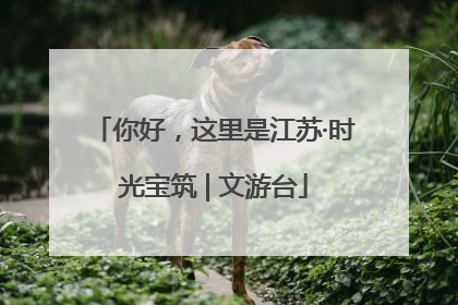 你好，这里是江苏·时光宝筑 | 文游台