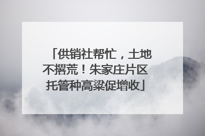 供销社帮忙，土地不撂荒！朱家庄片区托管种高粱促增收