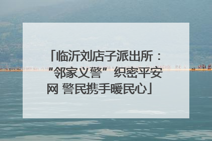 临沂刘店子派出所：“邻家义警”织密平安网 警民携手暖民心
