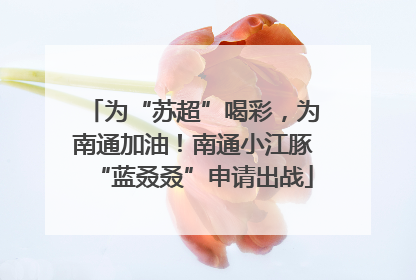 为“苏超”喝彩，为南通加油！南通小江豚“蓝叒叒”申请出战