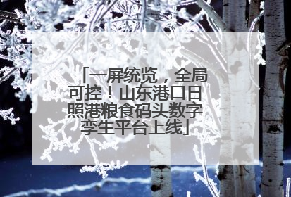 一屏统览，全局可控！山东港口日照港粮食码头数字孪生平台上线