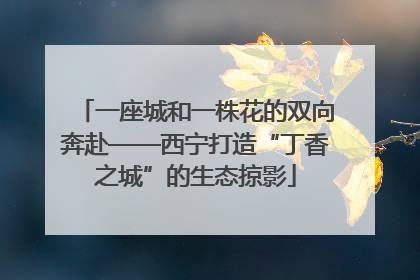 一座城和一株花的双向奔赴——西宁打造“丁香之城”的生态掠影