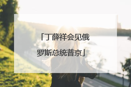 丁薛祥会见俄罗斯总统普京
