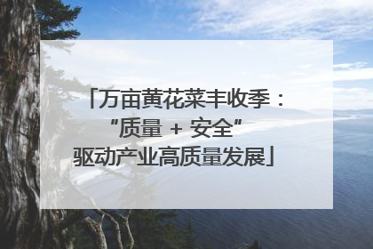 万亩黄花菜丰收季：“质量 + 安全” 驱动产业高质量发展