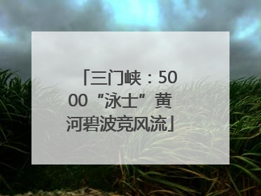 三门峡：5000“泳士”黄河碧波竞风流