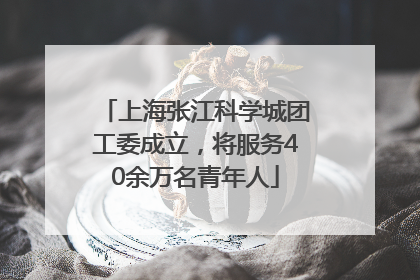 上海张江科学城团工委成立，将服务40余万名青年人