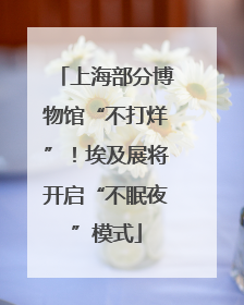 上海部分博物馆“不打烊”！埃及展将开启“不眠夜”模式