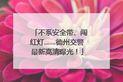 不系安全带、闯红灯……德州交警最新高清曝光！