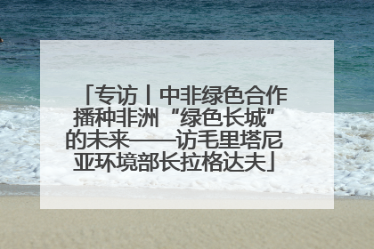 专访丨中非绿色合作播种非洲“绿色长城”的未来——访毛里塔尼亚环境部长拉格达夫