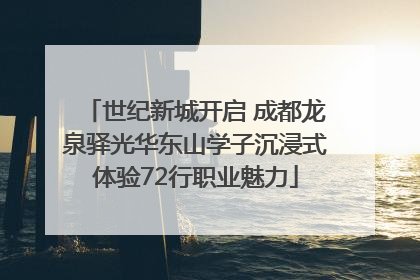 世纪新城开启 成都龙泉驿光华东山学子沉浸式体验72行职业魅力