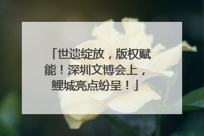 世遗绽放，版权赋能！深圳文博会上，鲤城亮点纷呈！