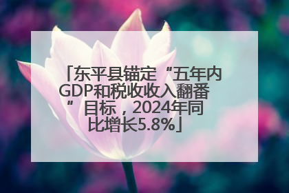 东平县锚定“五年内GDP和税收收入翻番”目标，2024年同比增长5.8%