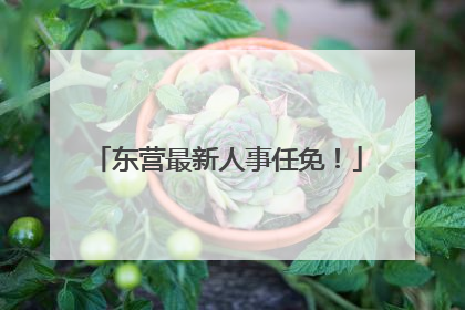 东营最新人事任免！