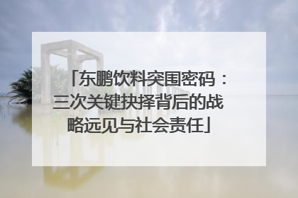 东鹏饮料突围密码：三次关键抉择背后的战略远见与社会责任