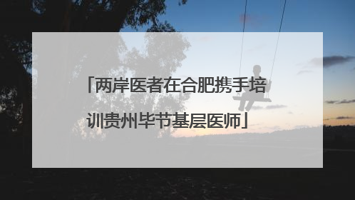 两岸医者在合肥携手培训贵州毕节基层医师