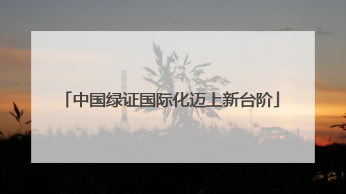 中国绿证国际化迈上新台阶