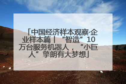 中国经济样本观察·企业样本篇丨“智造”10万台服务机器人，“小巨人”擎朗有大梦想