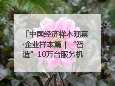 中国经济样本观察·企业样本篇｜“智造”10万台服务机器人，“小巨人”擎朗有大梦想