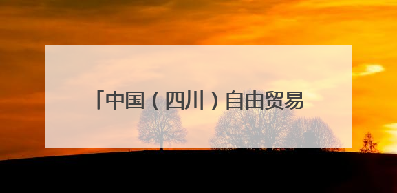 中国（四川）自由贸易试验区川南临港片区党工委书记谭荣兵一行赴岳阳城陵矶综保区考察