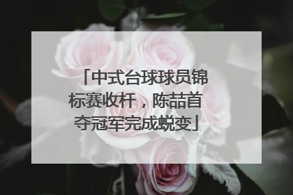 中式台球球员锦标赛收杆，陈喆首夺冠军完成蜕变