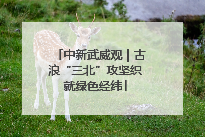 中新武威观｜古浪“三北”攻坚织就绿色经纬
