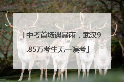 中考首场遇暴雨，武汉9.85万考生无一误考