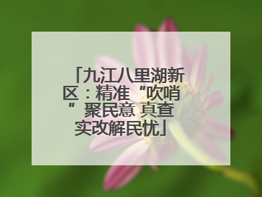九江八里湖新区：精准“吹哨”聚民意 真查实改解民忧