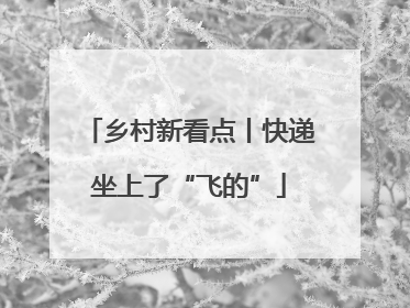 乡村新看点丨快递坐上了“飞的”